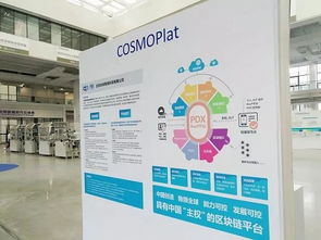 bat進軍區(qū)塊鏈,為何他認為littlebee仍有機會