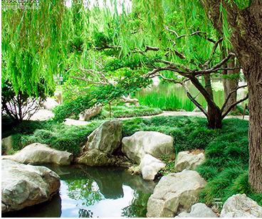 技術(shù)小白指南 輕松使用自助建站系統(tǒng)打造免費(fèi)網(wǎng)站