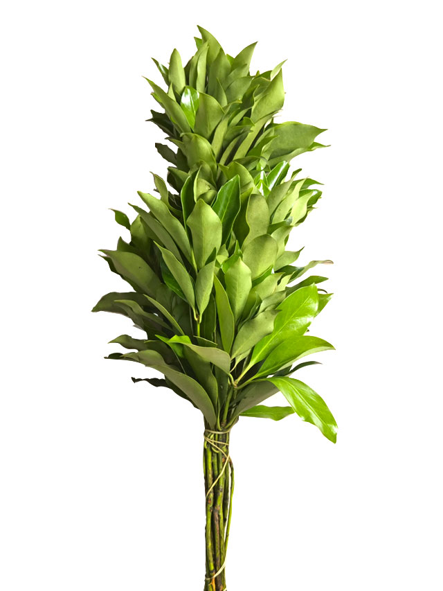Ƙ(sh)